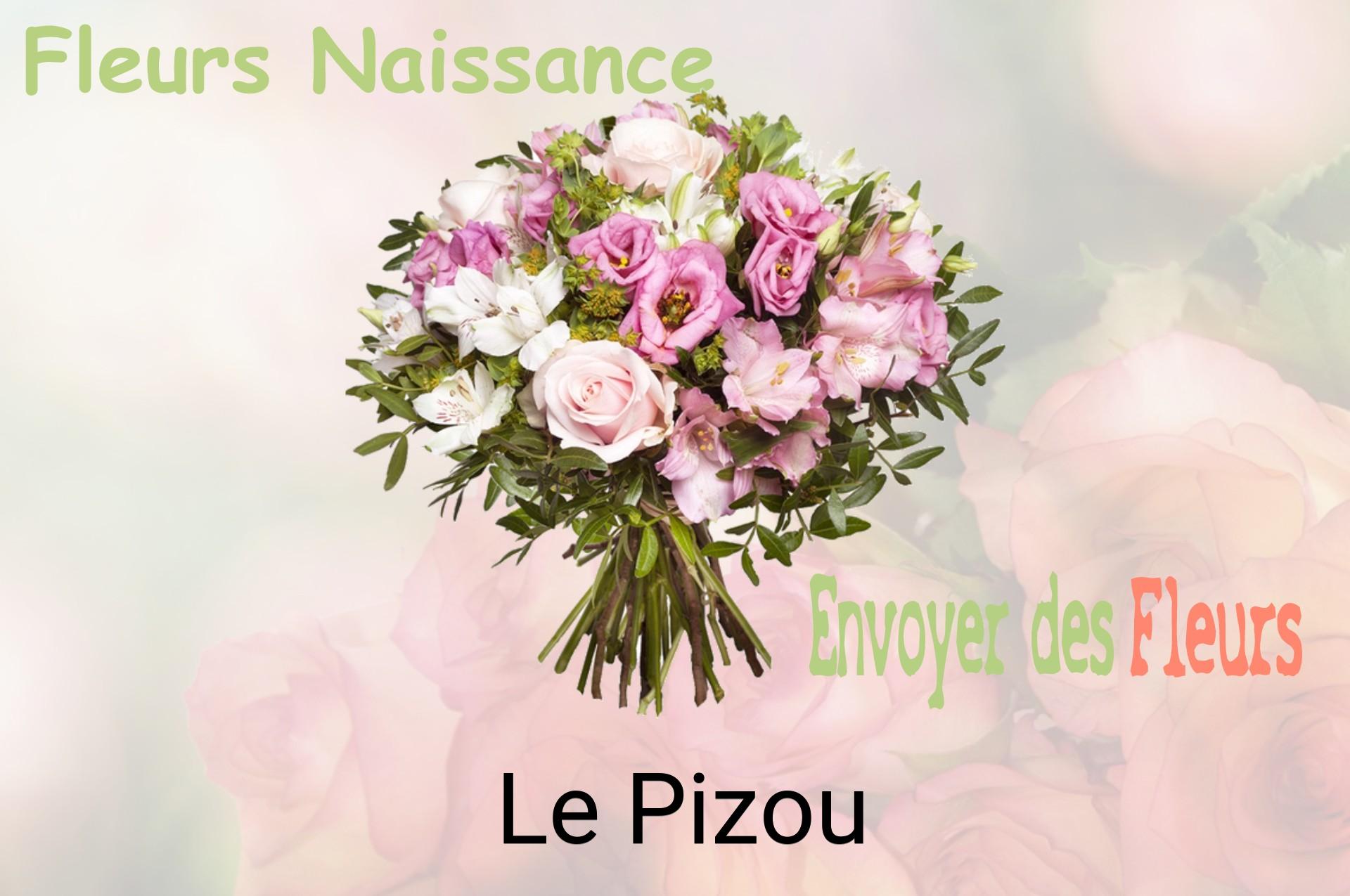 Bouquet de fleurs de naissance livré à Le Pizou